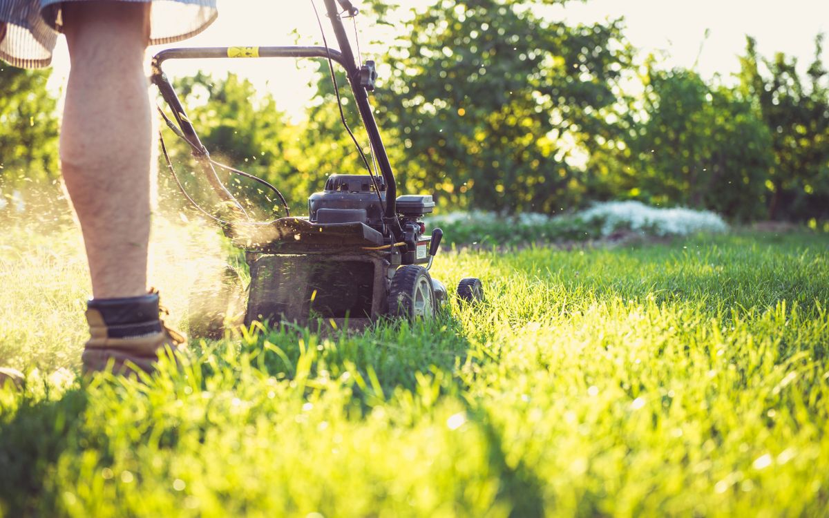 Landscaper mulching a garden bed